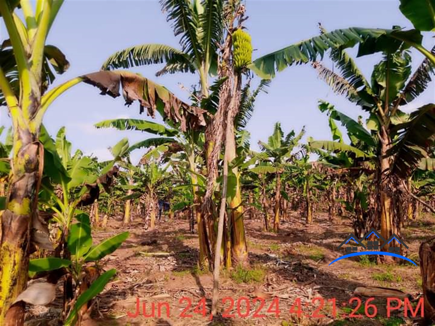 Commercial Land for sale in Namugongo Wakiso