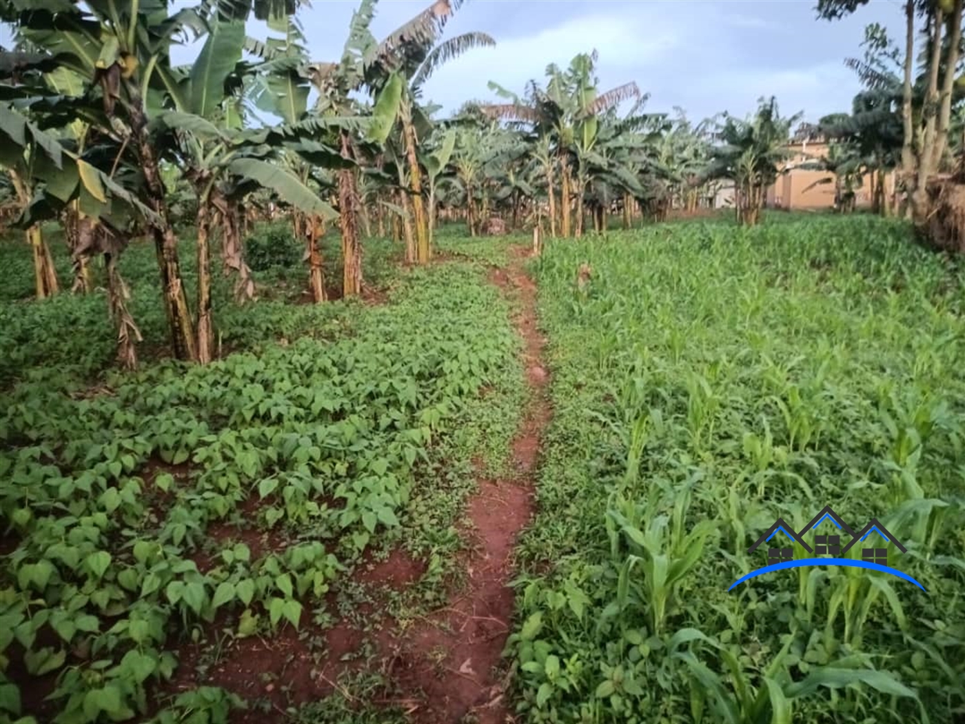 Residential Land for sale in Kitende Wakiso