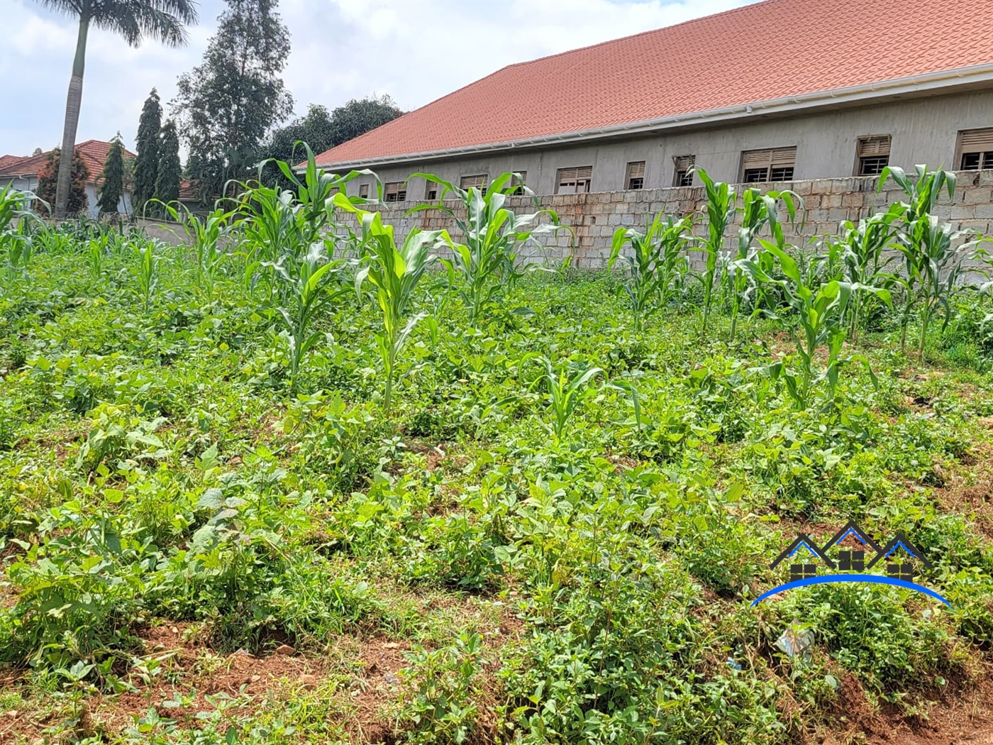 Residential Land for sale in Najjera Wakiso