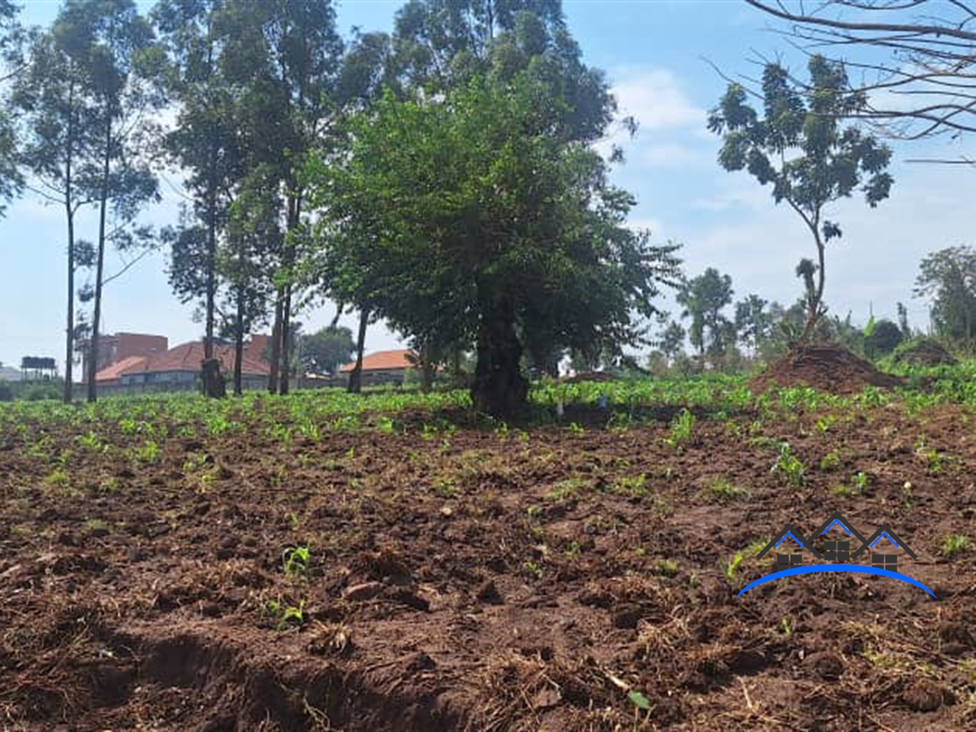 Residential Land for sale in Buwaate Wakiso