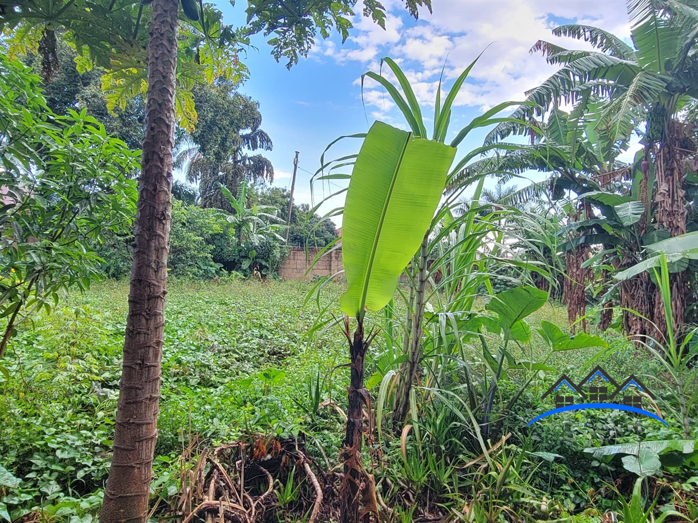 Bungalow for sale in Najjera Wakiso