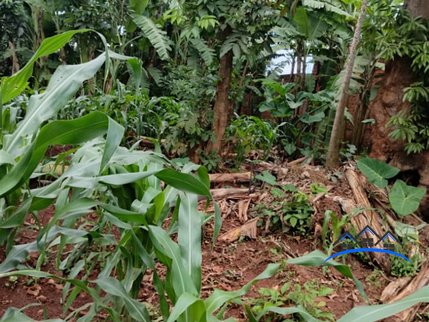 Residential Land for sale in Mutundwe Kampala