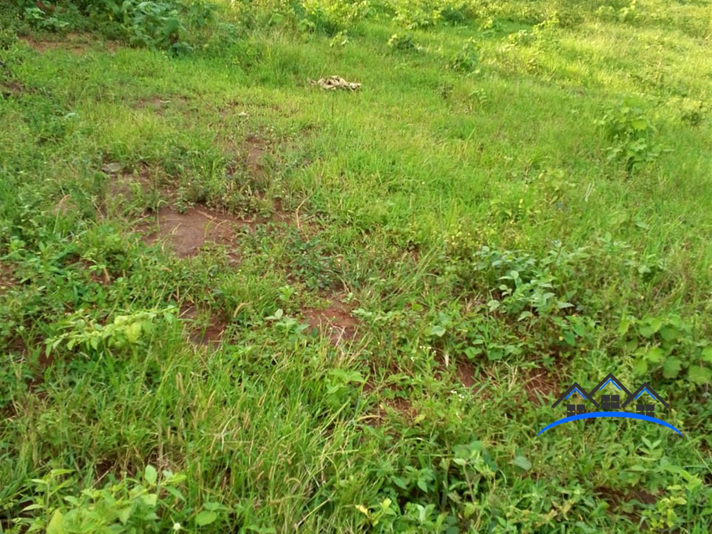 Residential Land for sale in Kiwenda Wakiso