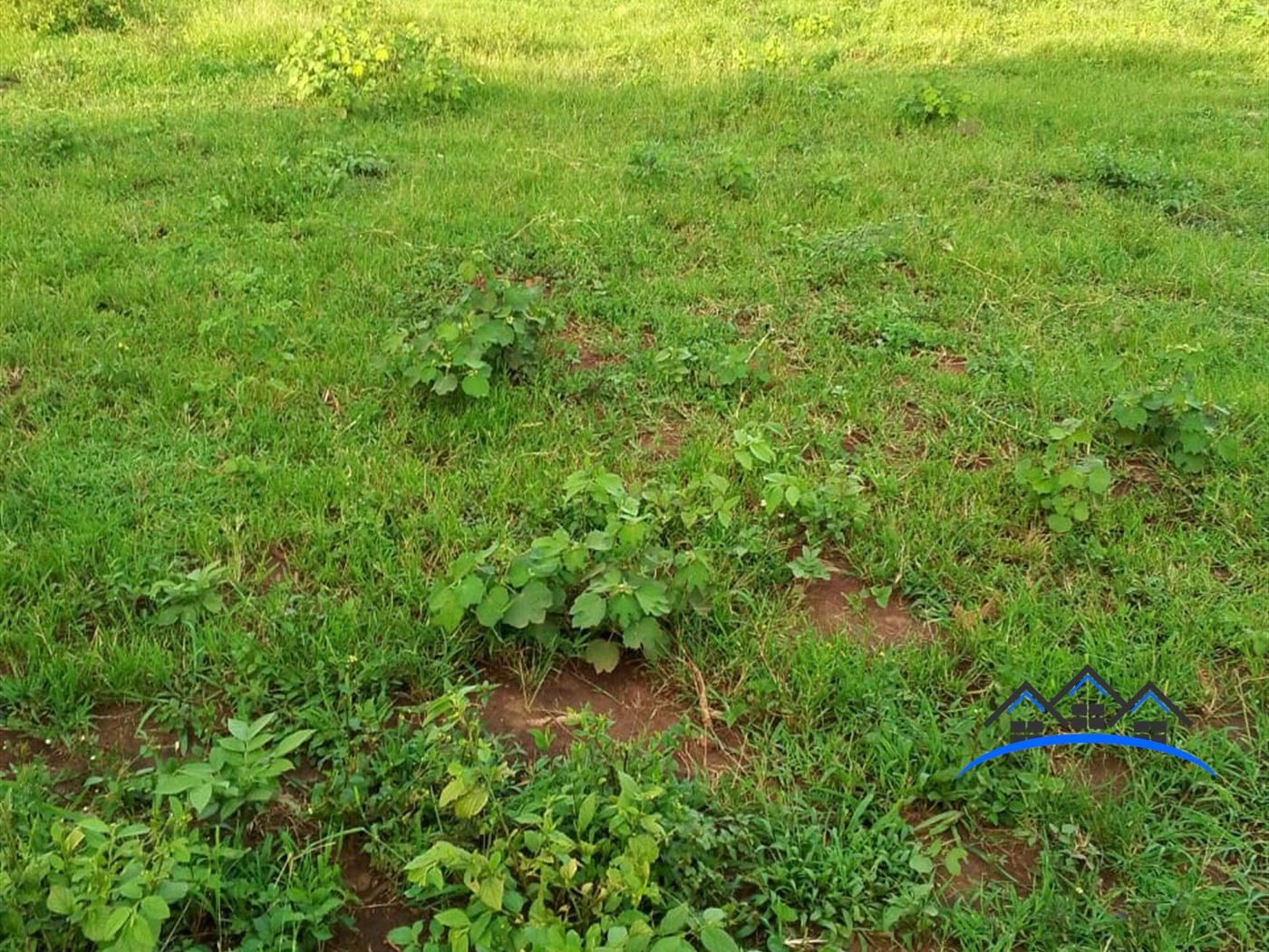 Residential Land for sale in Kiwenda Wakiso