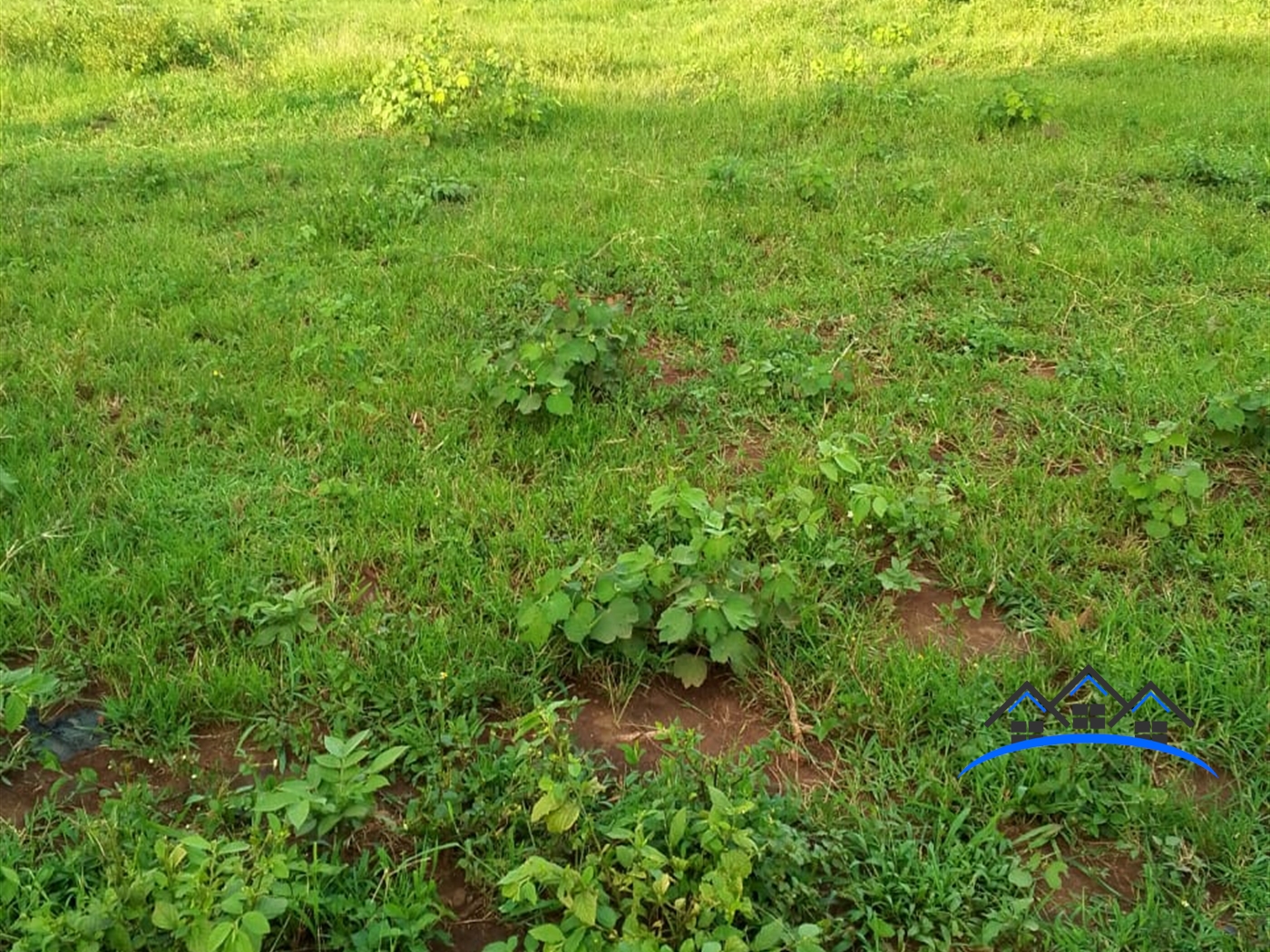 Residential Land for sale in Kiwenda Wakiso