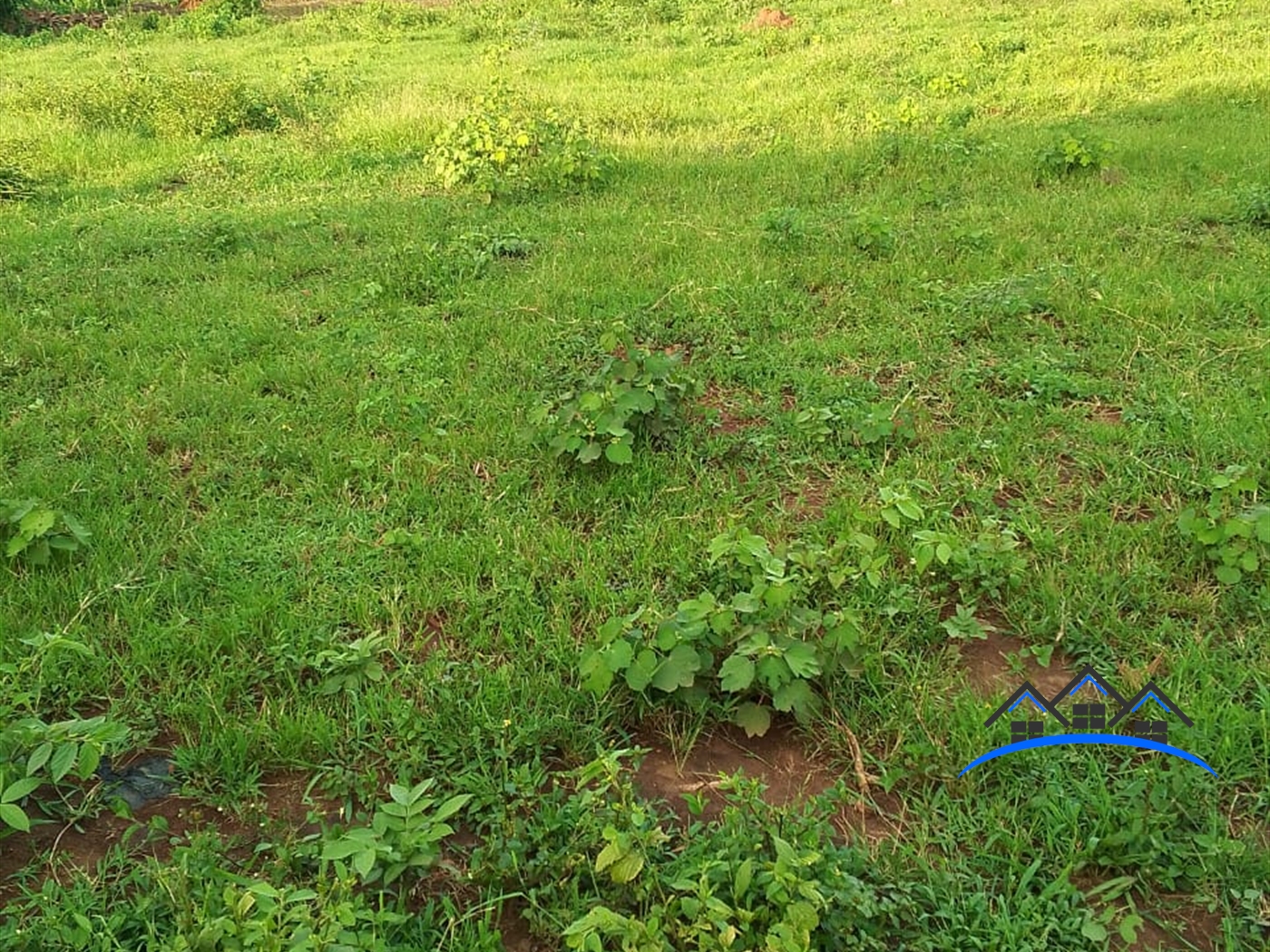 Residential Land for sale in Kiwenda Wakiso