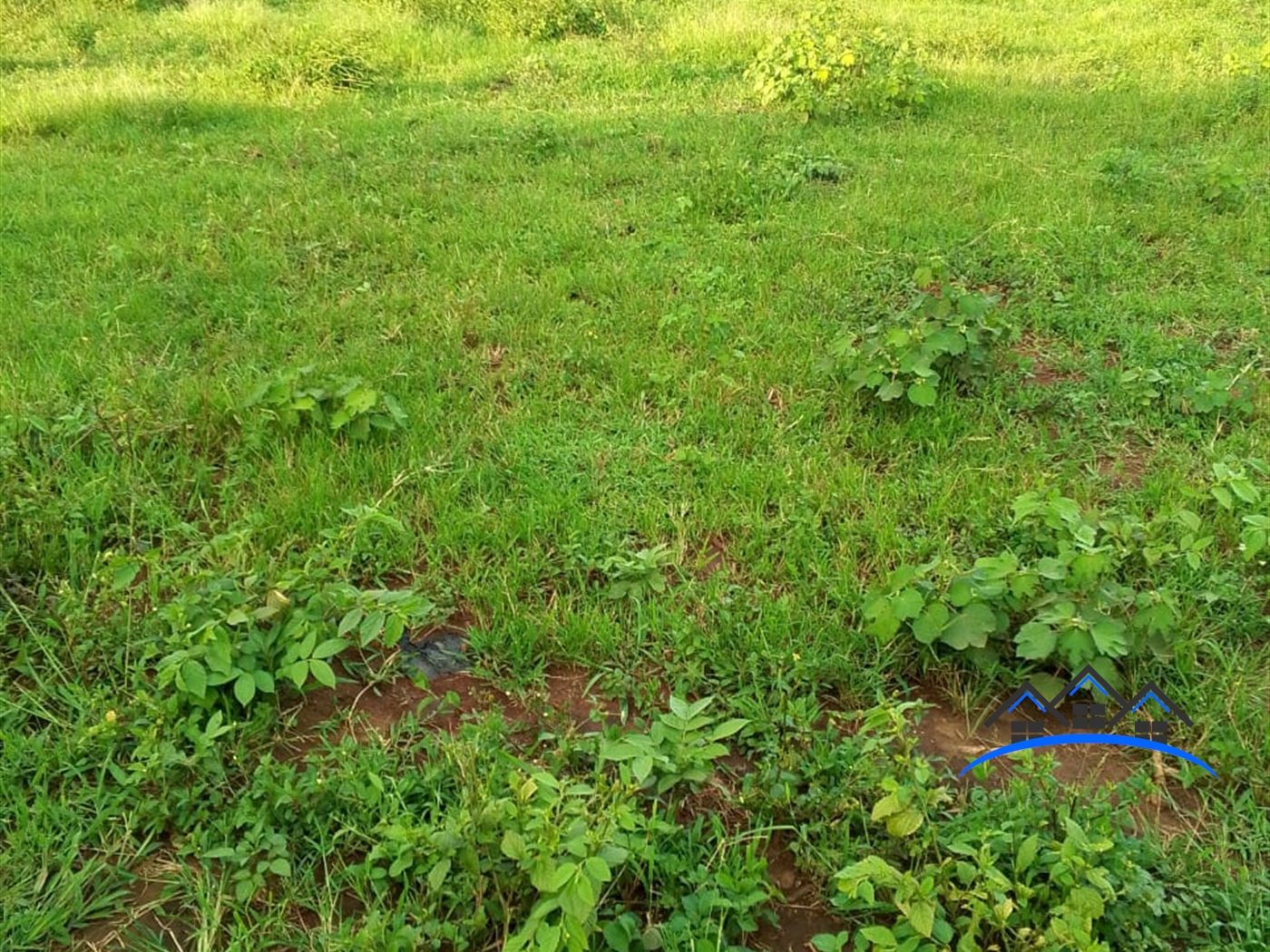 Residential Land for sale in Kiwenda Wakiso