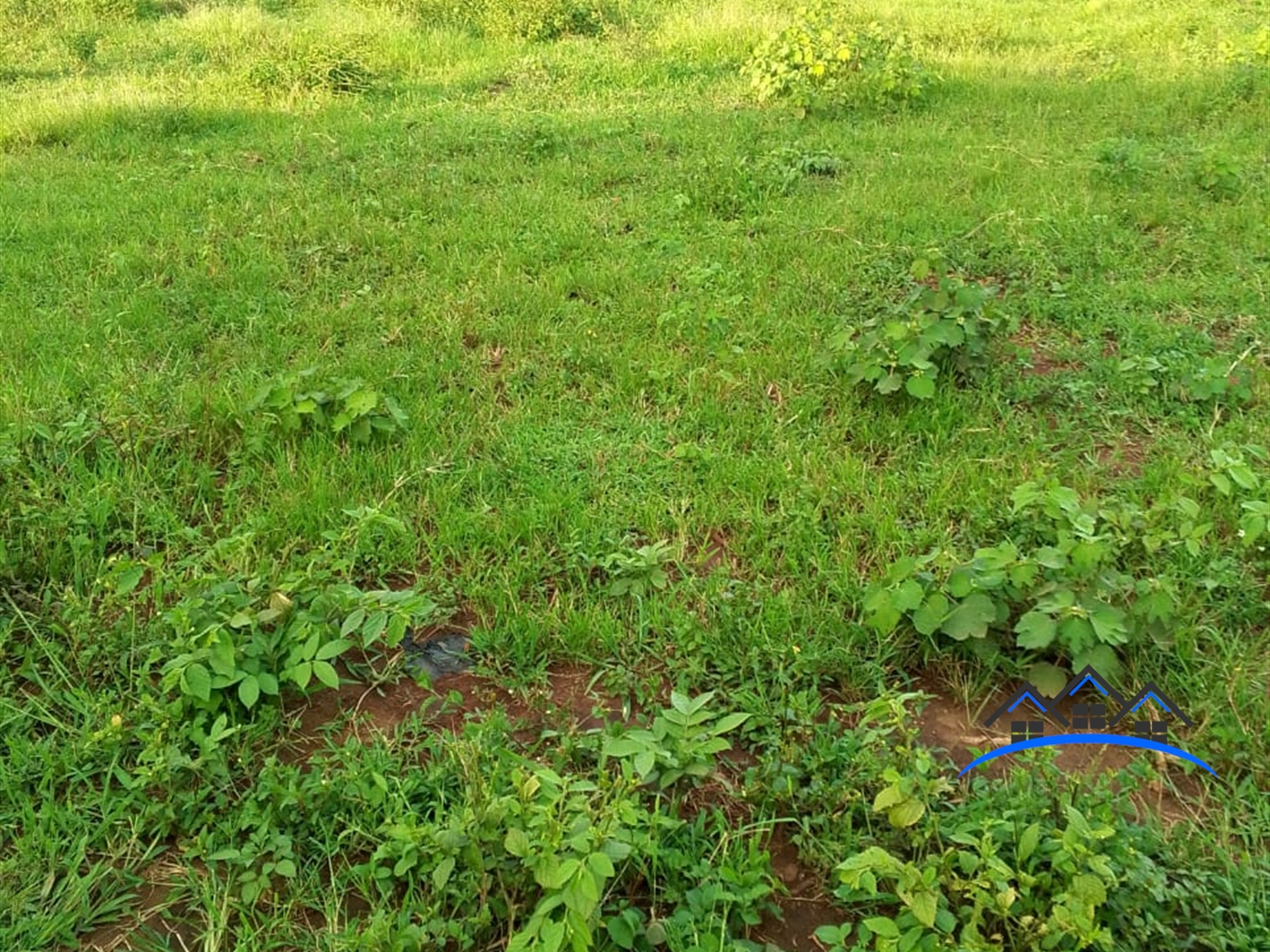 Residential Land for sale in Kiwenda Wakiso