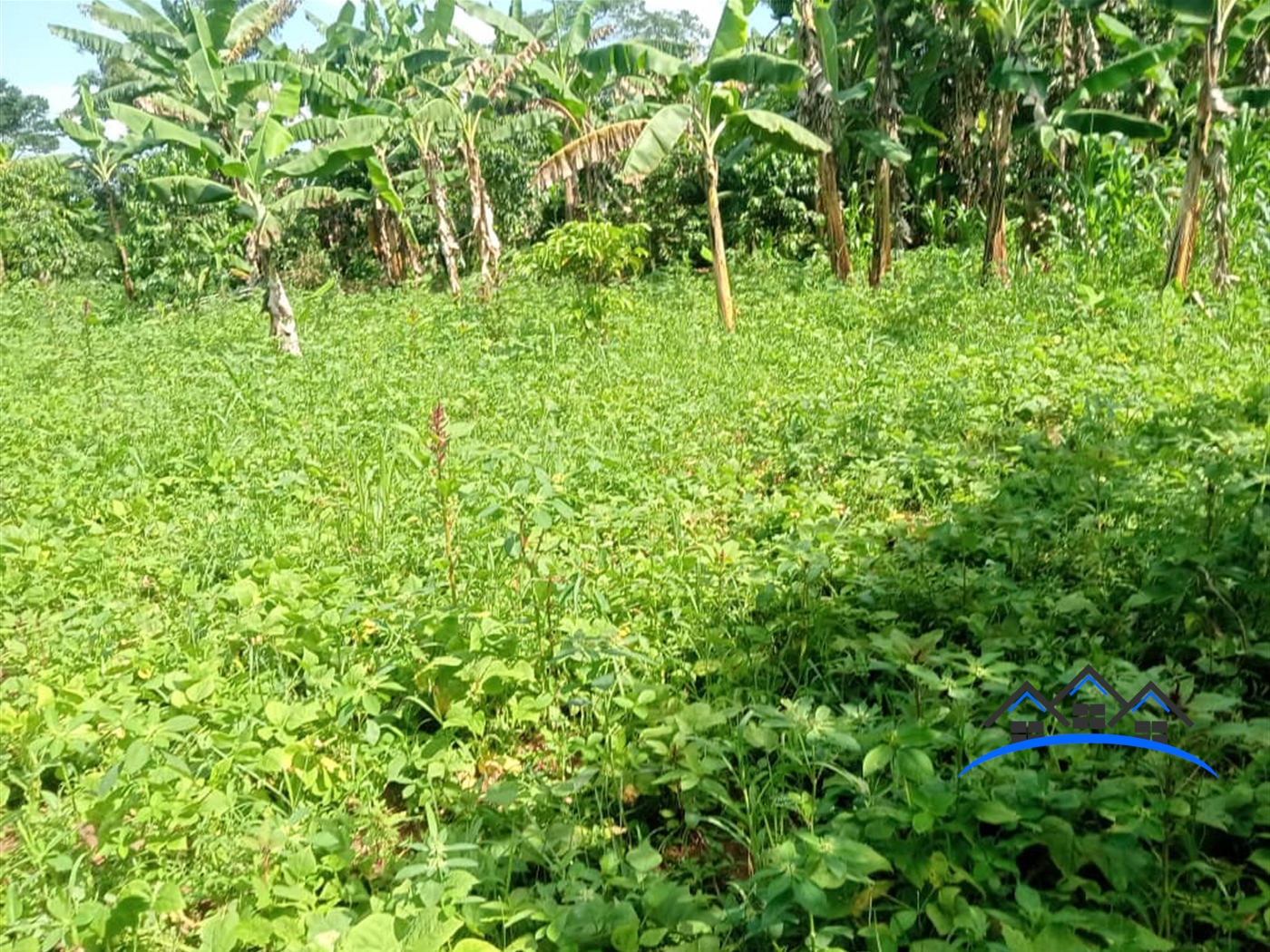 Residential Land for sale in Ziloobwe Luweero