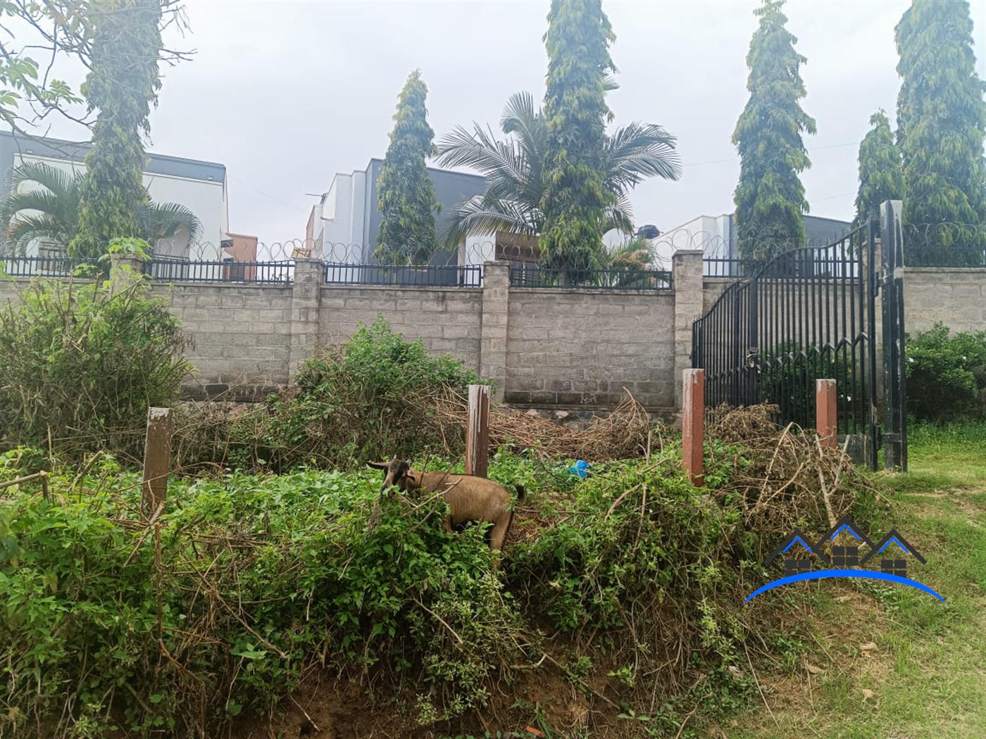 Residential Land for sale in Muyenga Kampala