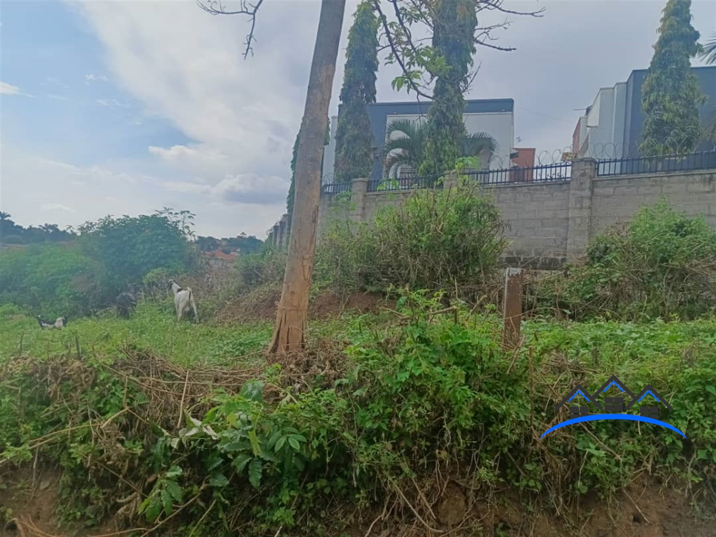 Residential Land for sale in Muyenga Kampala