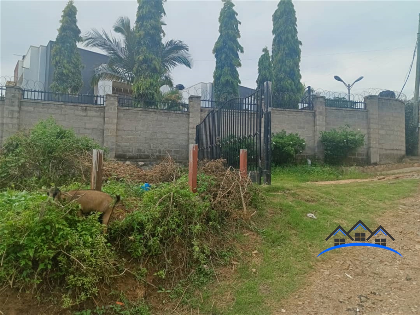 Residential Land for sale in Muyenga Kampala