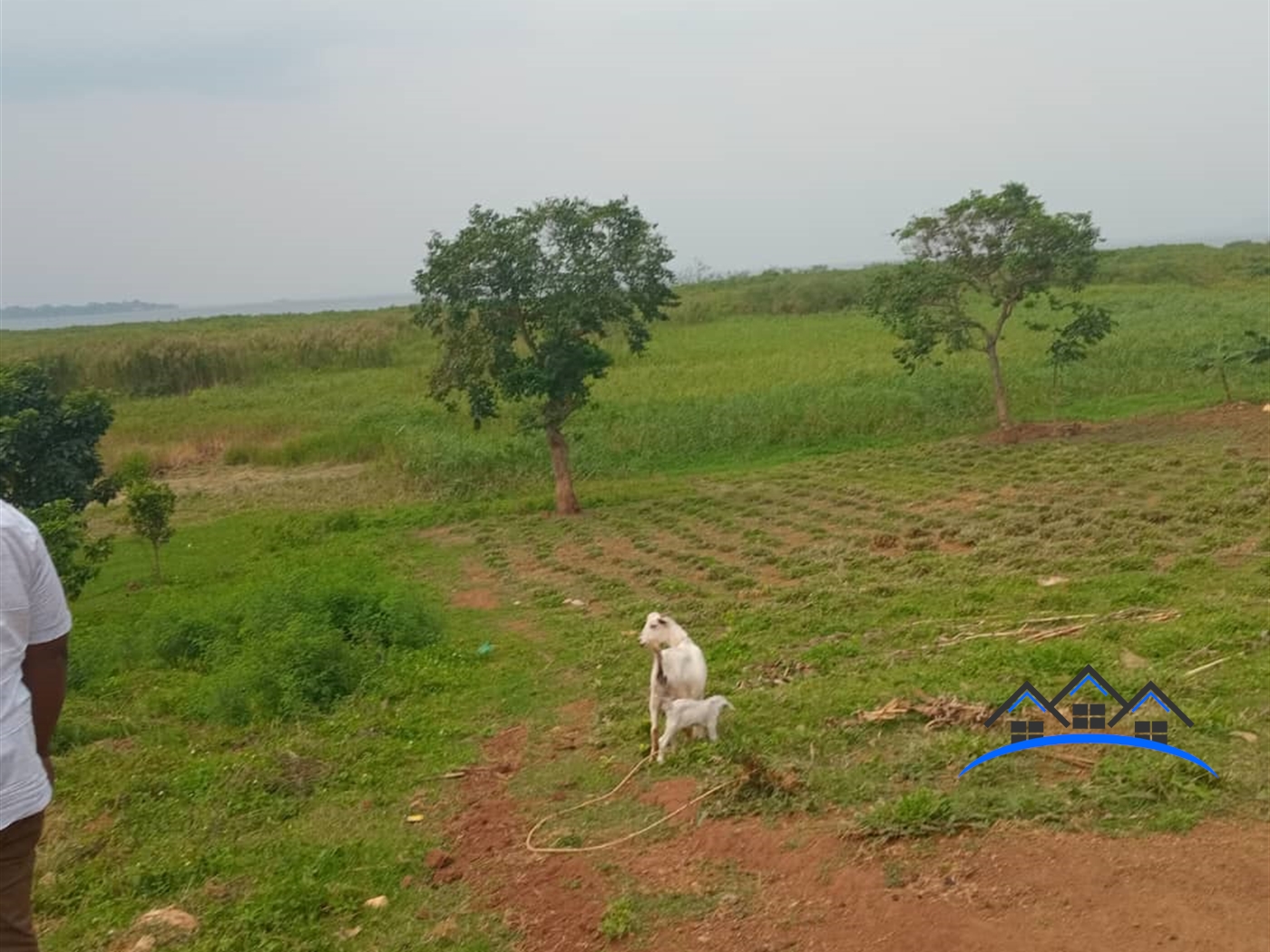 Residential Land for sale in Entebbe Bugiri