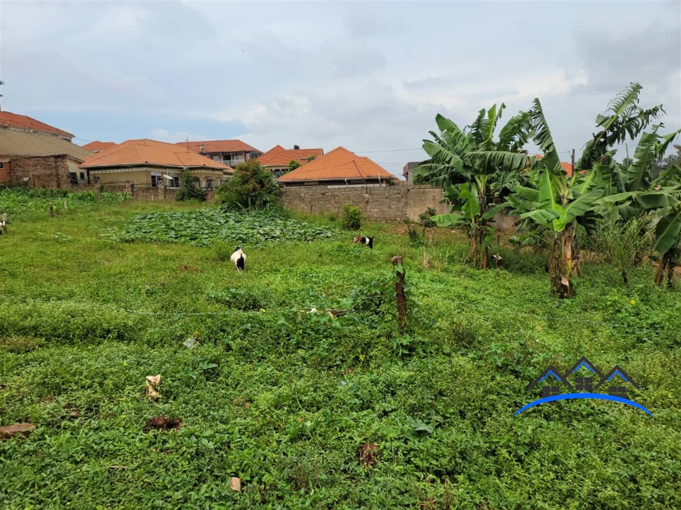 Residential Land for sale in Kyanja Wakiso