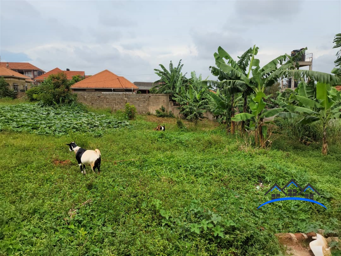 Residential Land for sale in Kyanja Wakiso