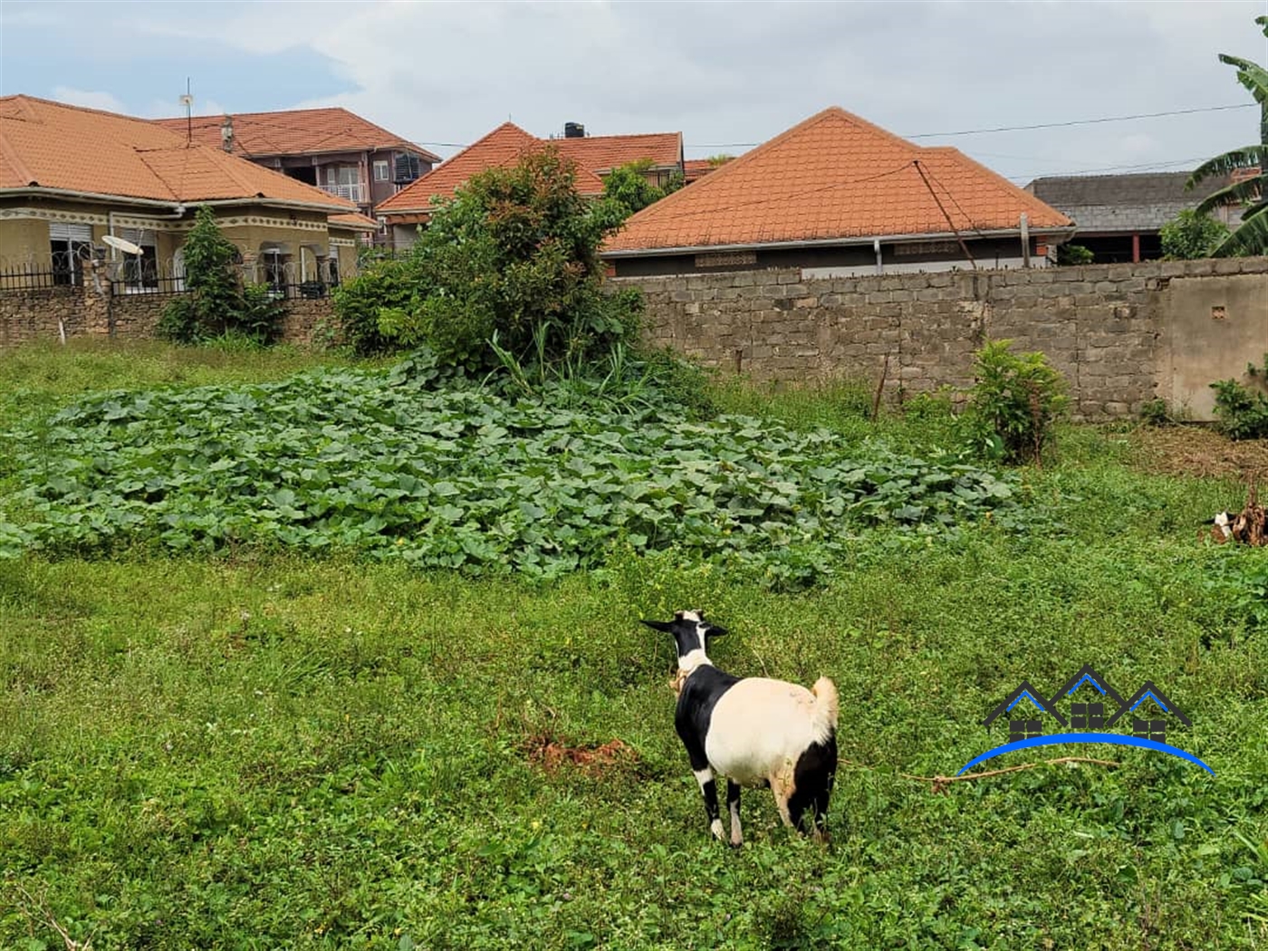 Residential Land for sale in Kyanja Wakiso