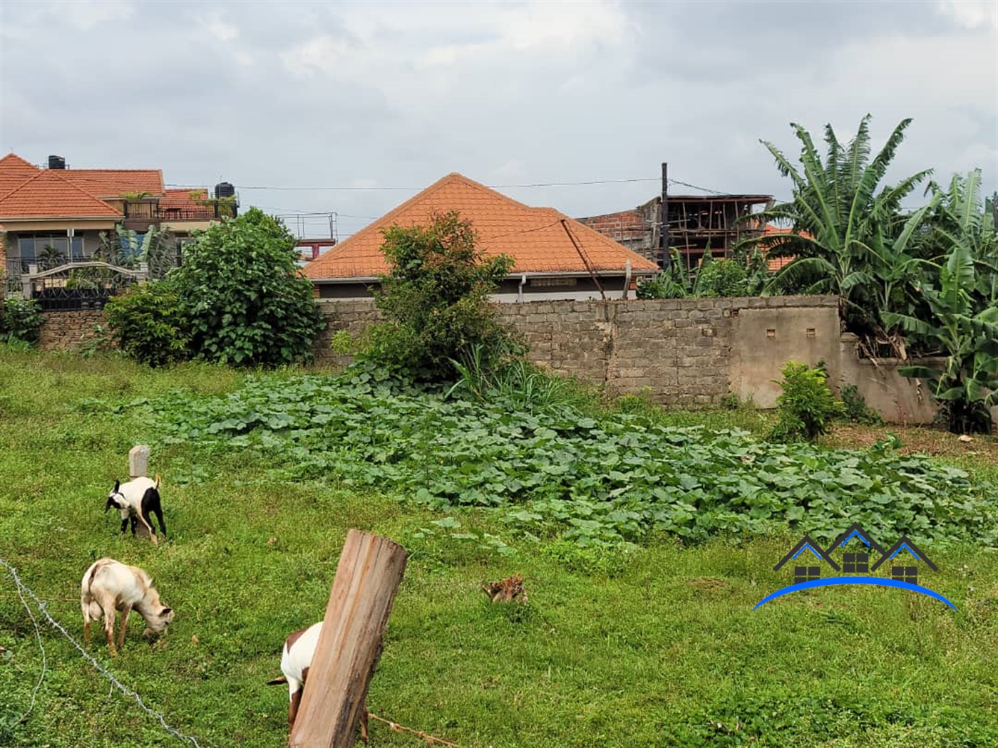 Residential Land for sale in Kyanja Wakiso