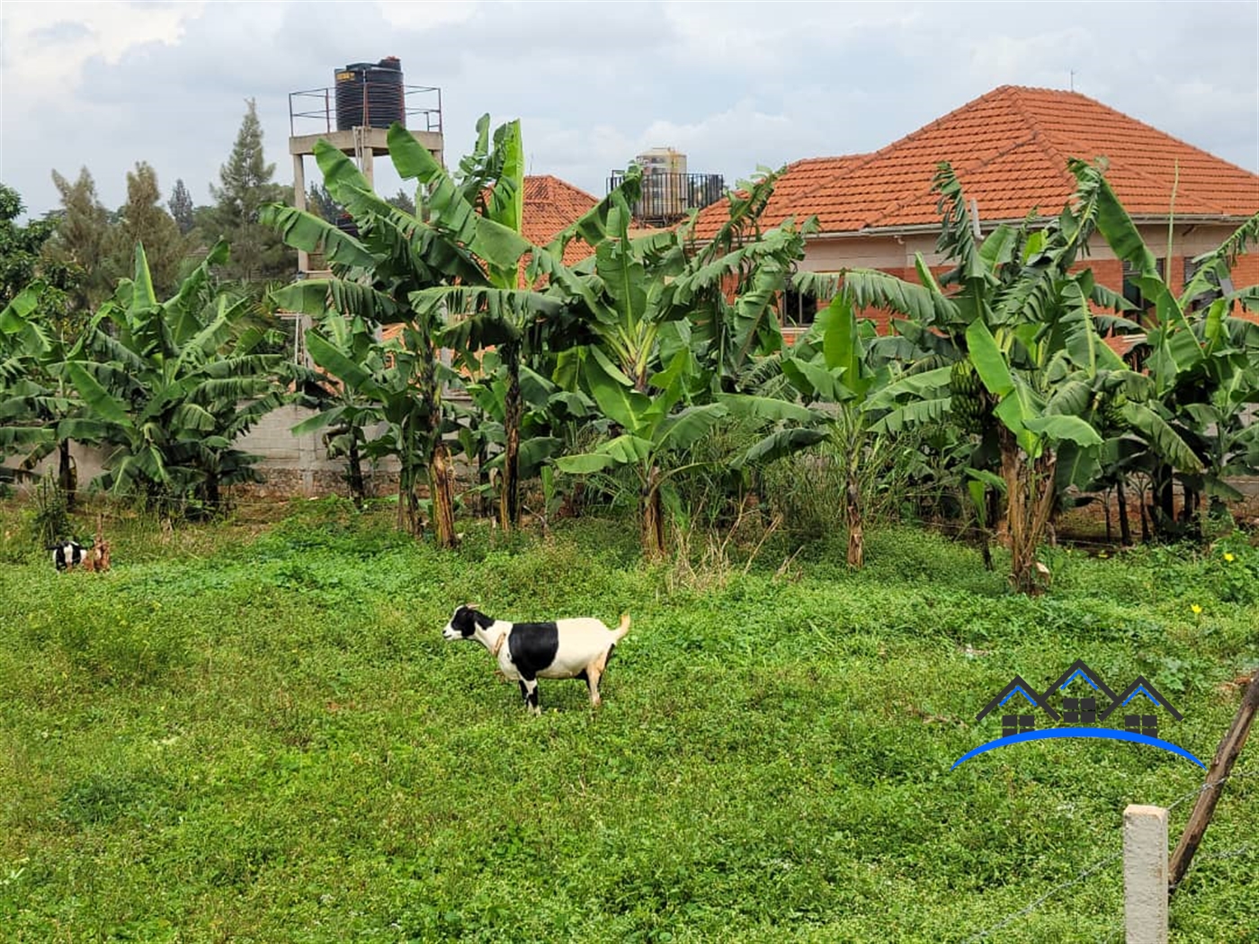 Residential Land for sale in Kyanja Wakiso