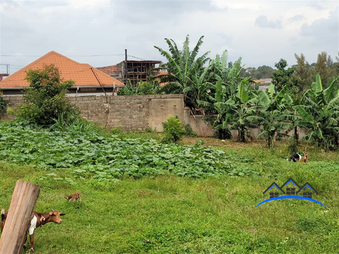 Residential Land for sale in Kyanja Wakiso