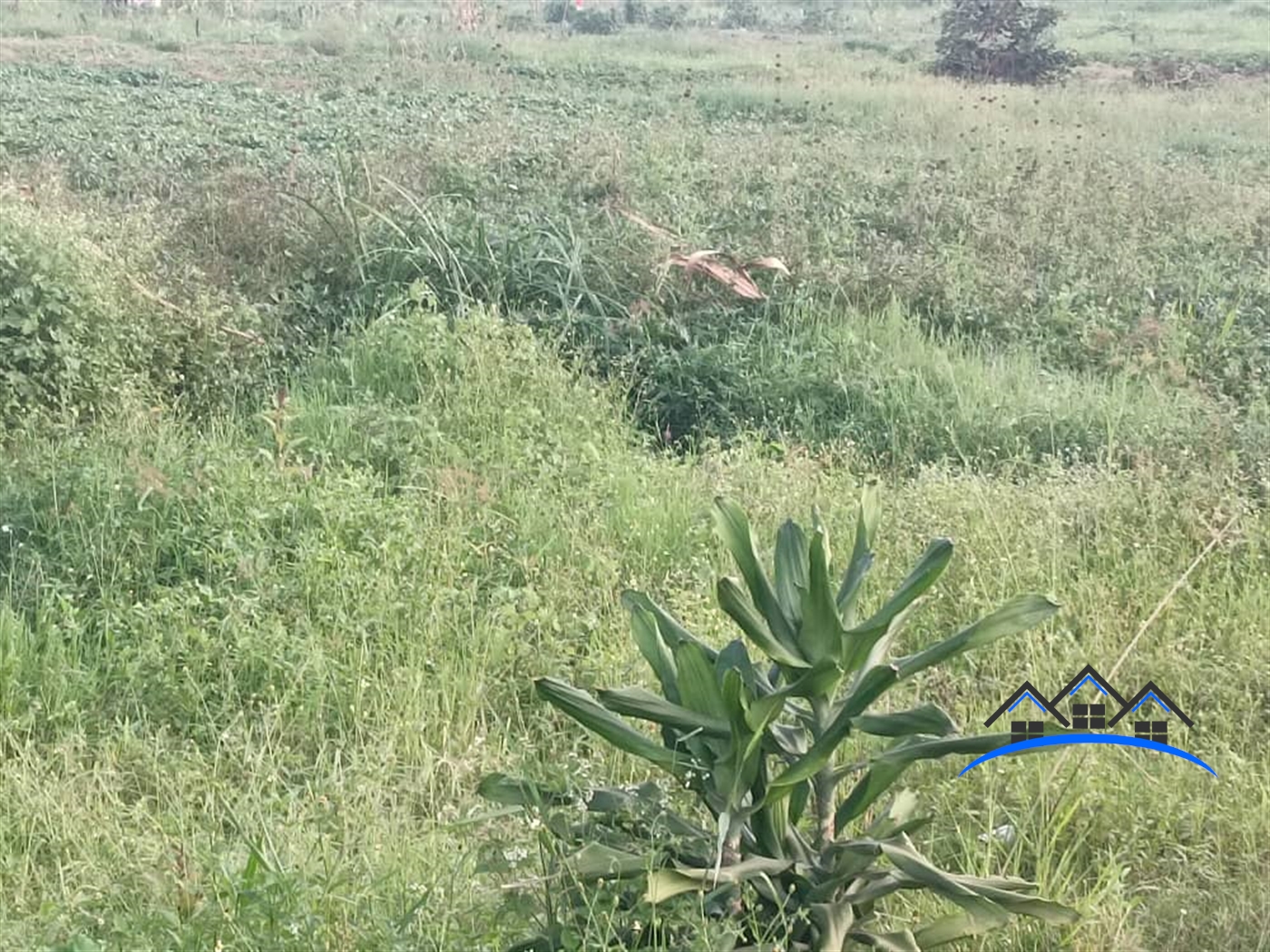 Residential Land for sale in Kira Wakiso