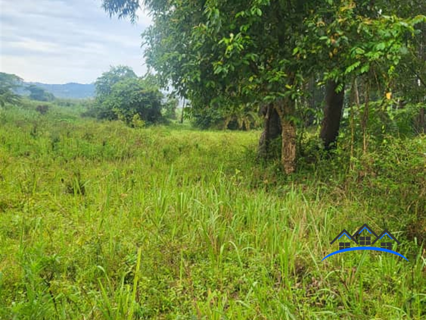 Residential Land for sale in Kigo Wakiso