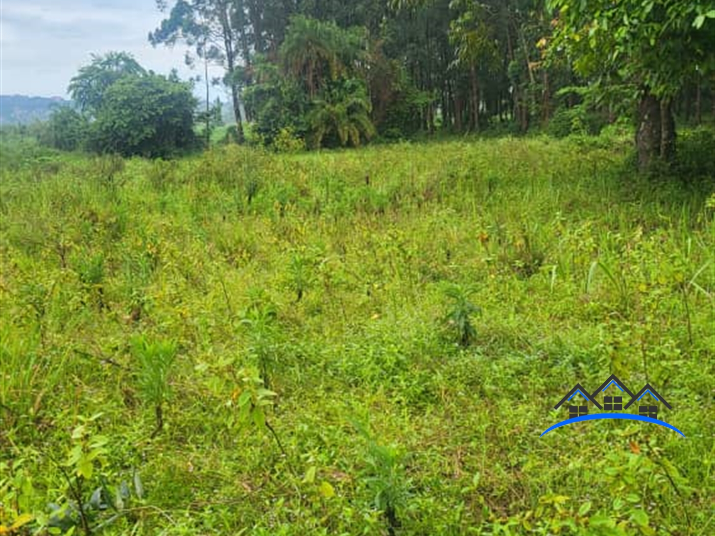 Residential Land for sale in Kigo Wakiso