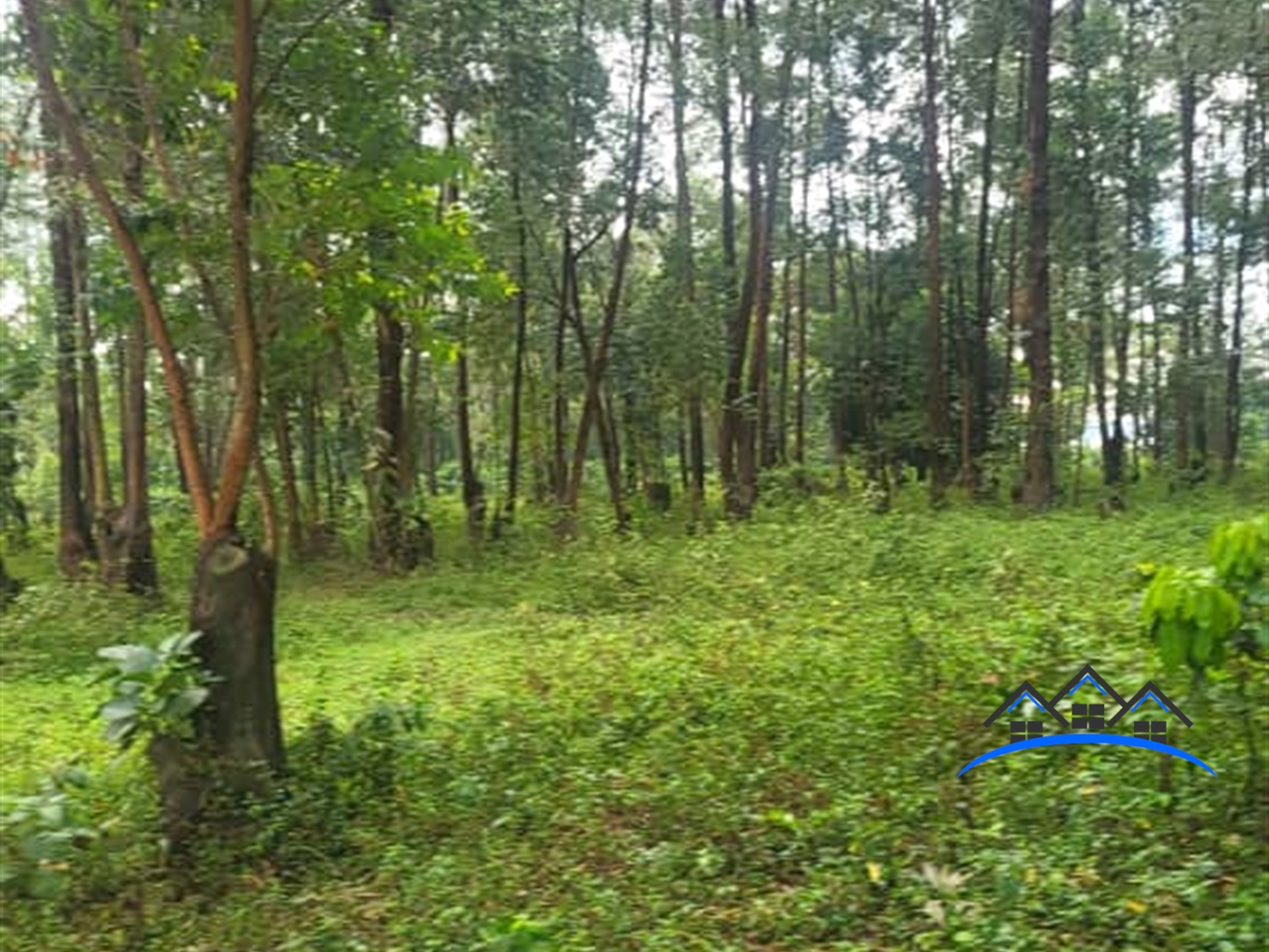 Residential Land for sale in Kigo Wakiso