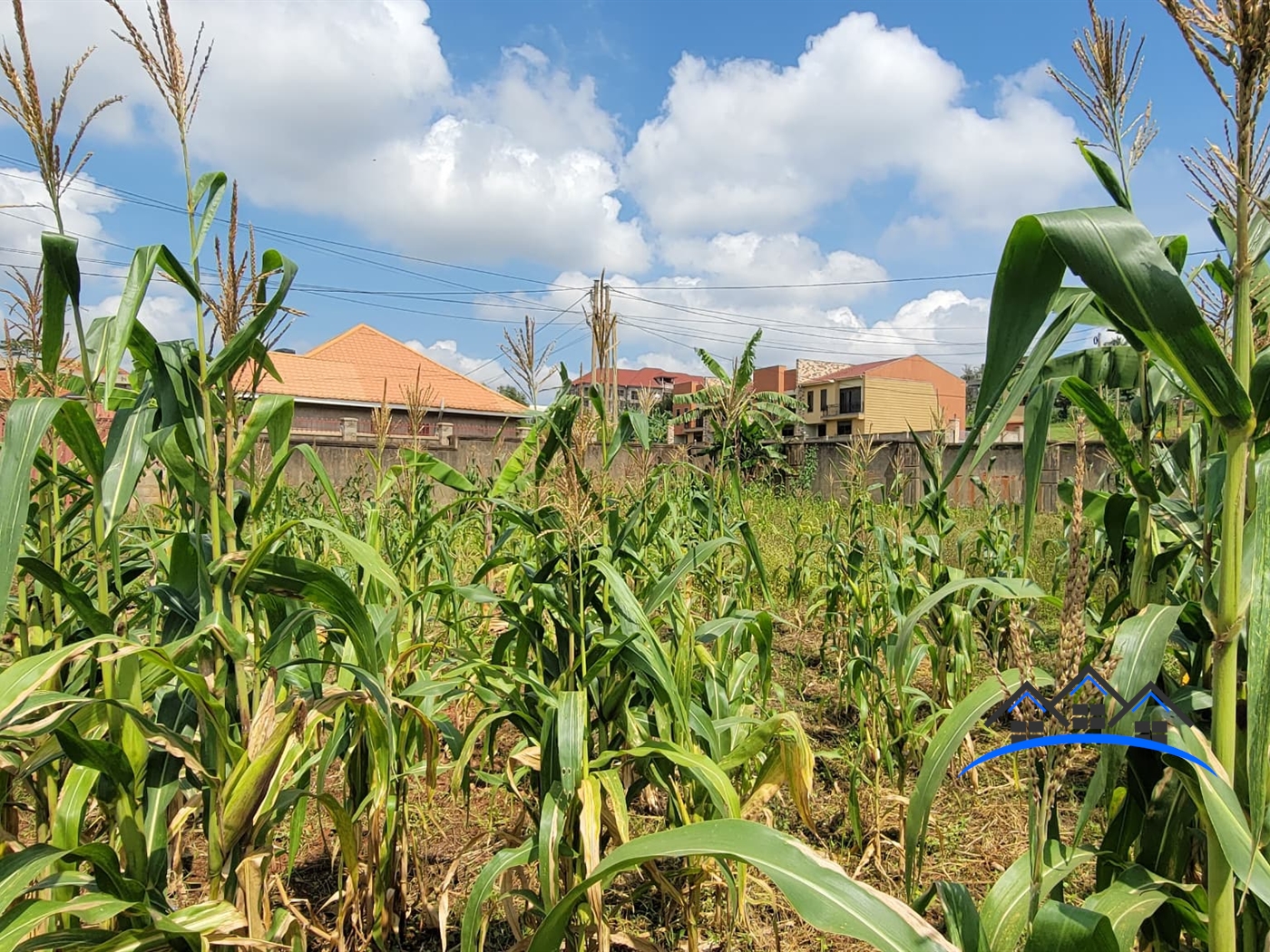 Residential Land for sale in Kyanja Wakiso