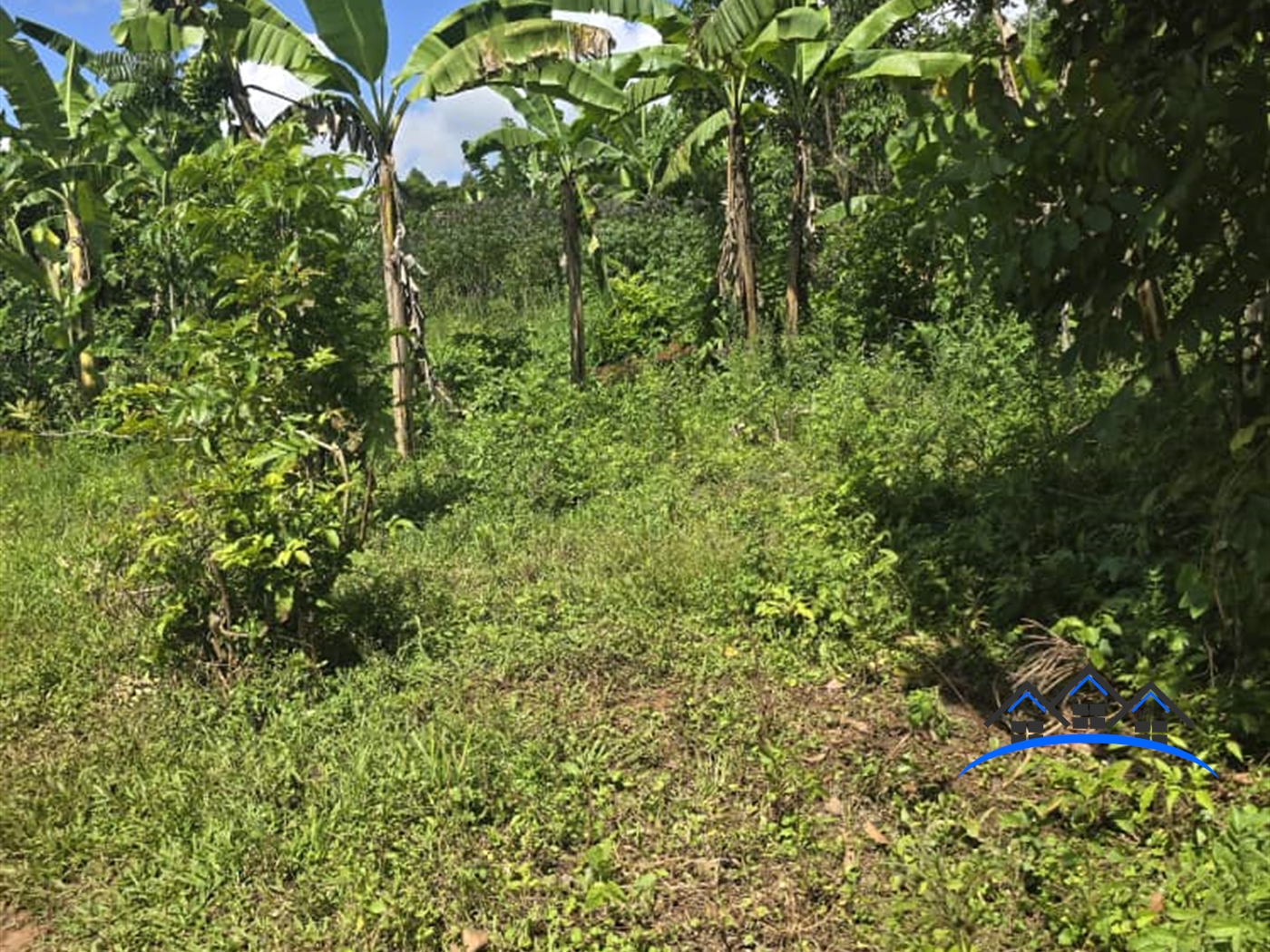 Recreational Land for sale in Mawotta Mukono