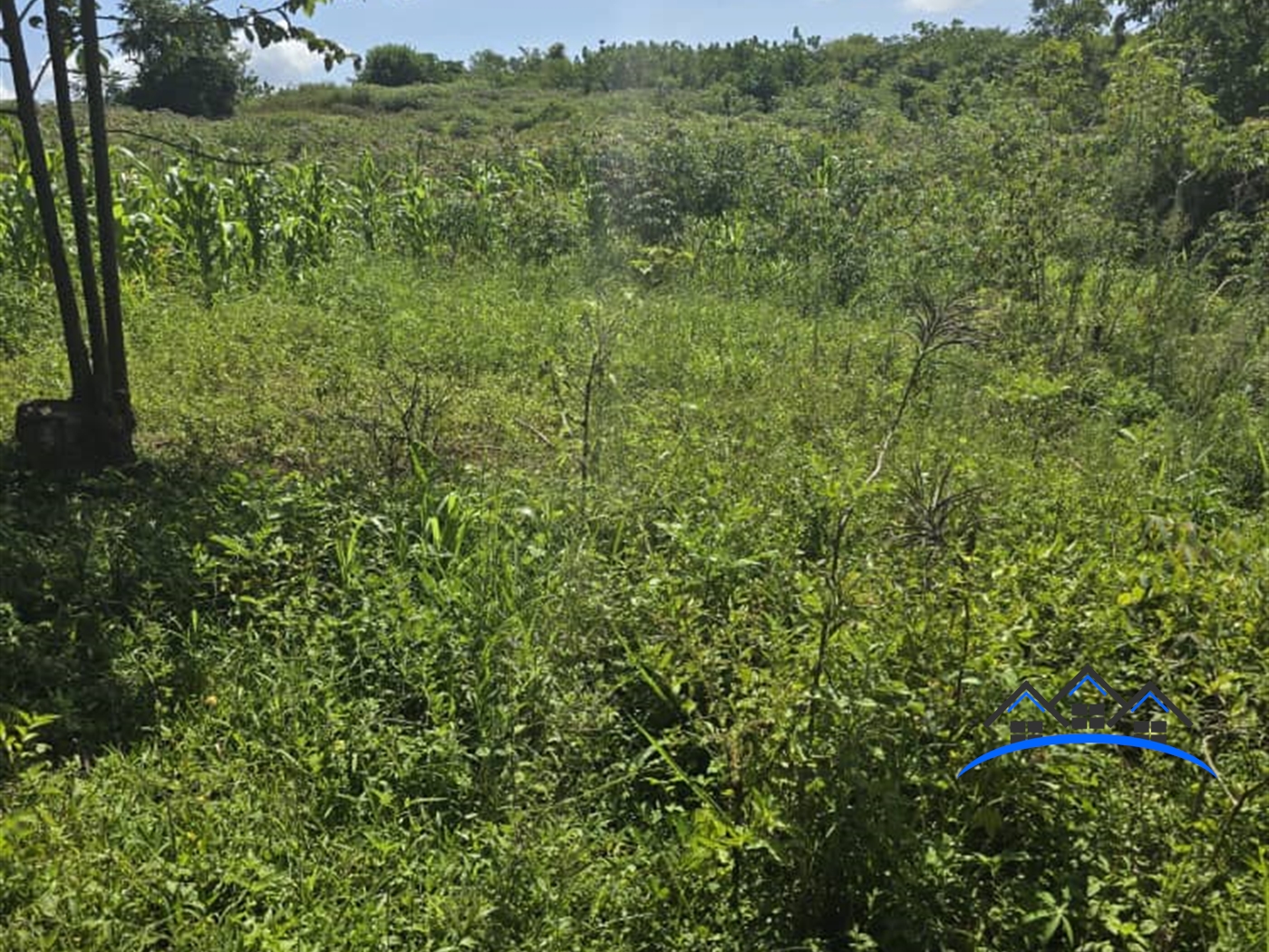 Recreational Land for sale in Mawotta Mukono