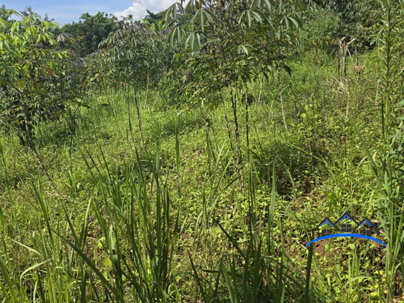 Recreational Land for sale in Mawotta Mukono