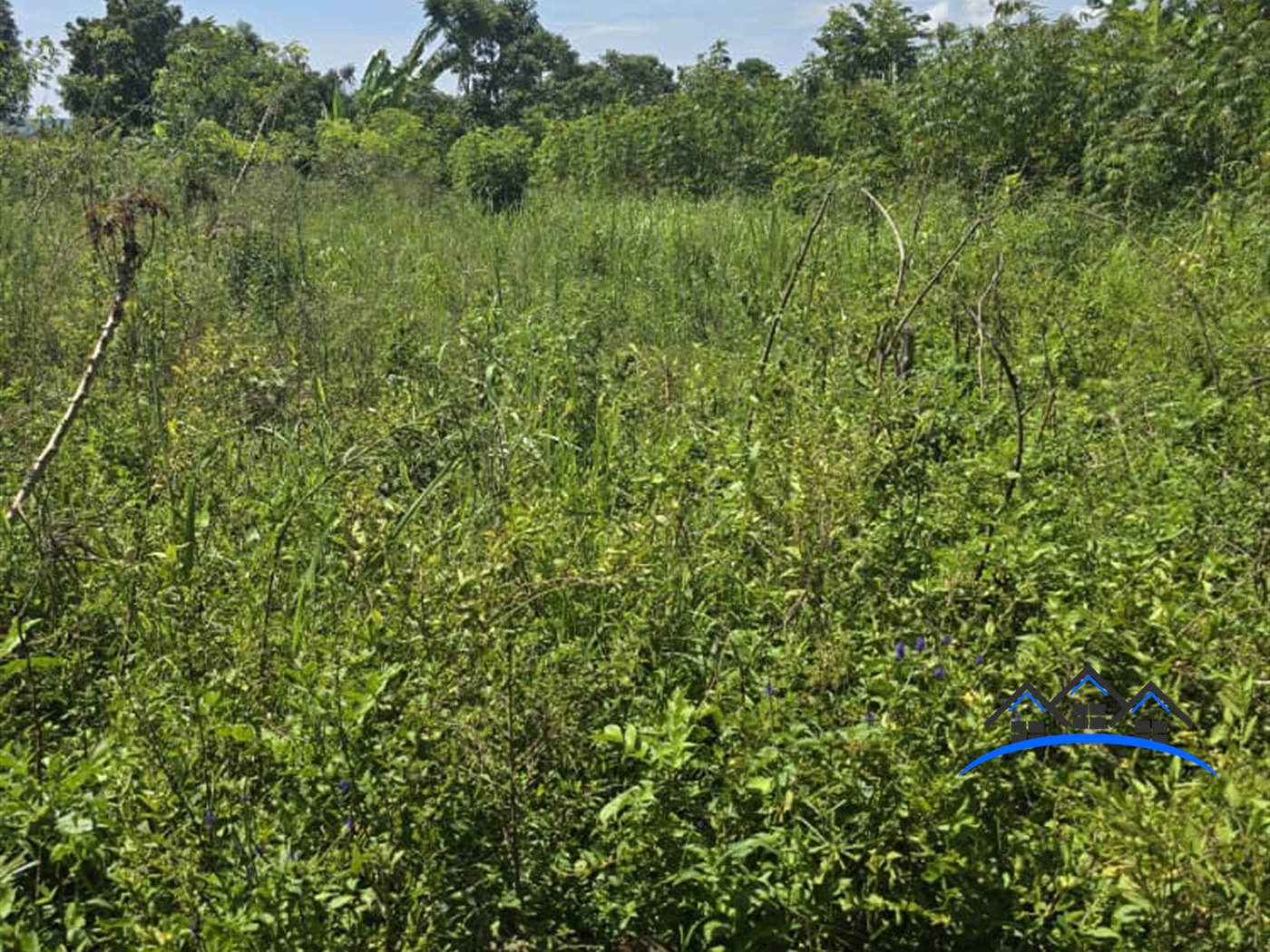 Recreational Land for sale in Mawotta Mukono