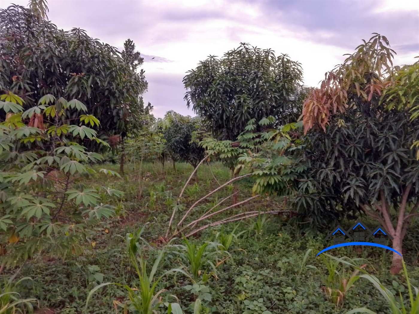 Residential Land for sale in Nakassajja Wakiso