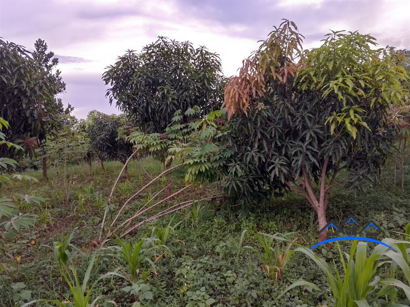 Residential Land for sale in Nakassajja Wakiso