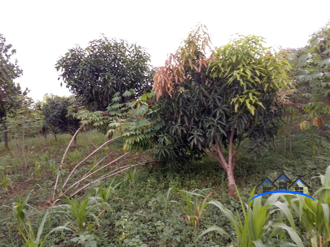 Residential Land for sale in Nakassajja Wakiso