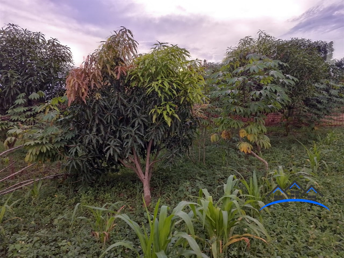 Residential Land for sale in Nakassajja Wakiso