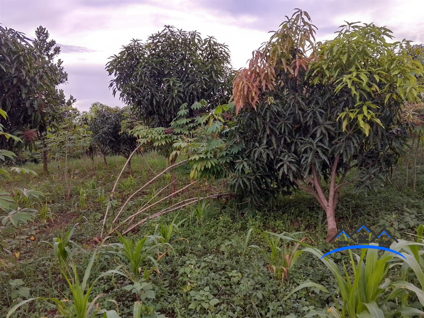 Residential Land for sale in Nakassajja Wakiso