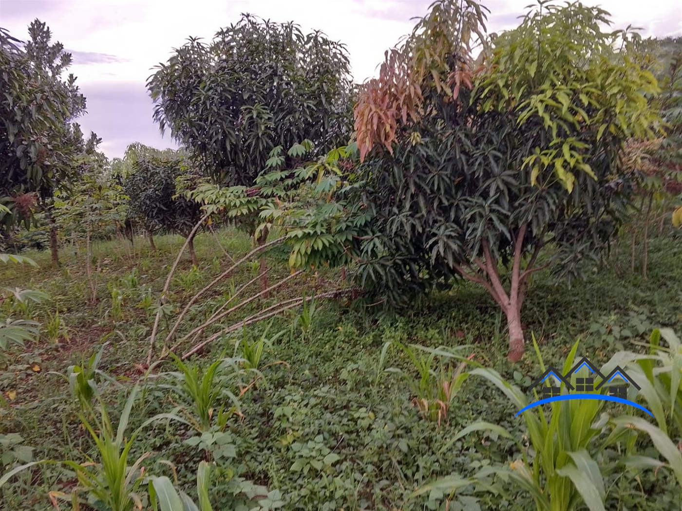 Residential Land for sale in Nakassajja Wakiso