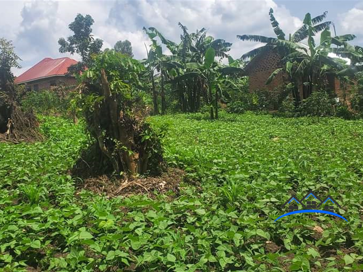 Residential Land for sale in Matugga Wakiso