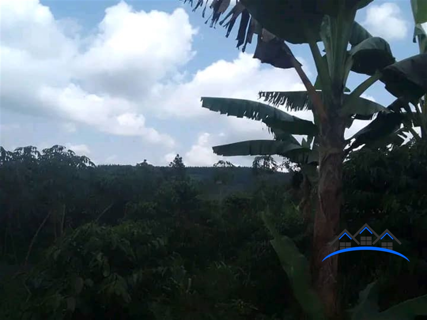 Agricultural Land for sale in Bukomelo Kiboga