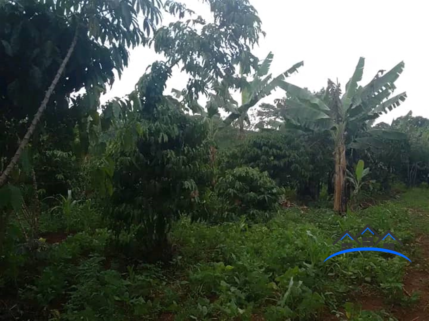 Agricultural Land for sale in Bukomelo Kiboga