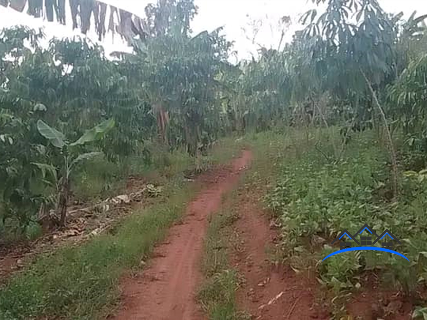 Agricultural Land for sale in Bukomelo Kiboga