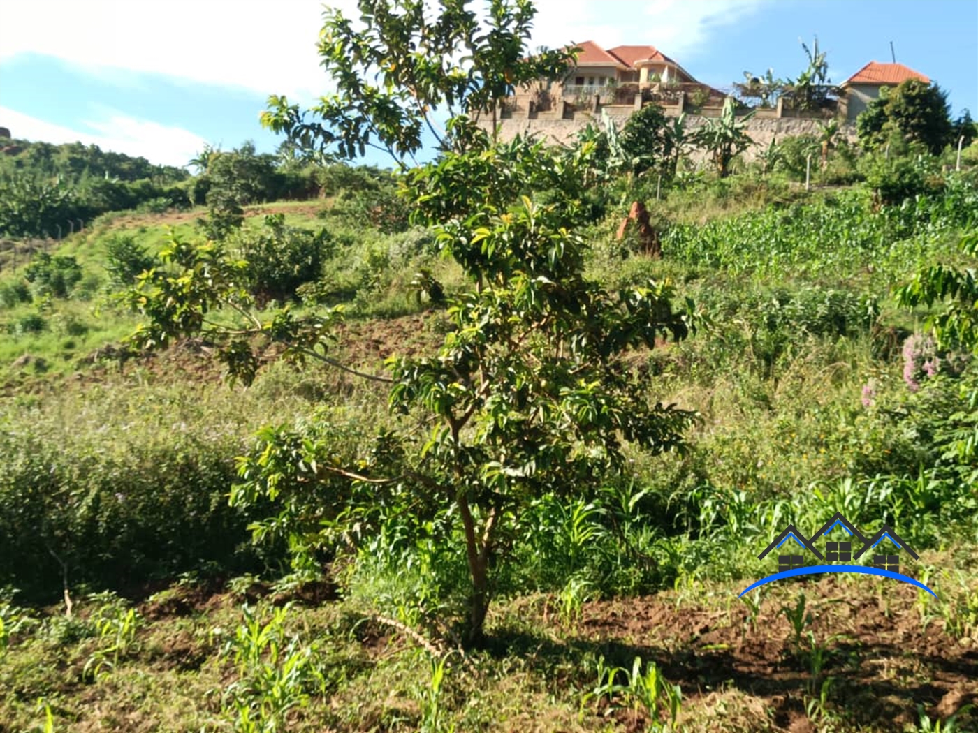 Residential Land for sale in Kitende Wakiso