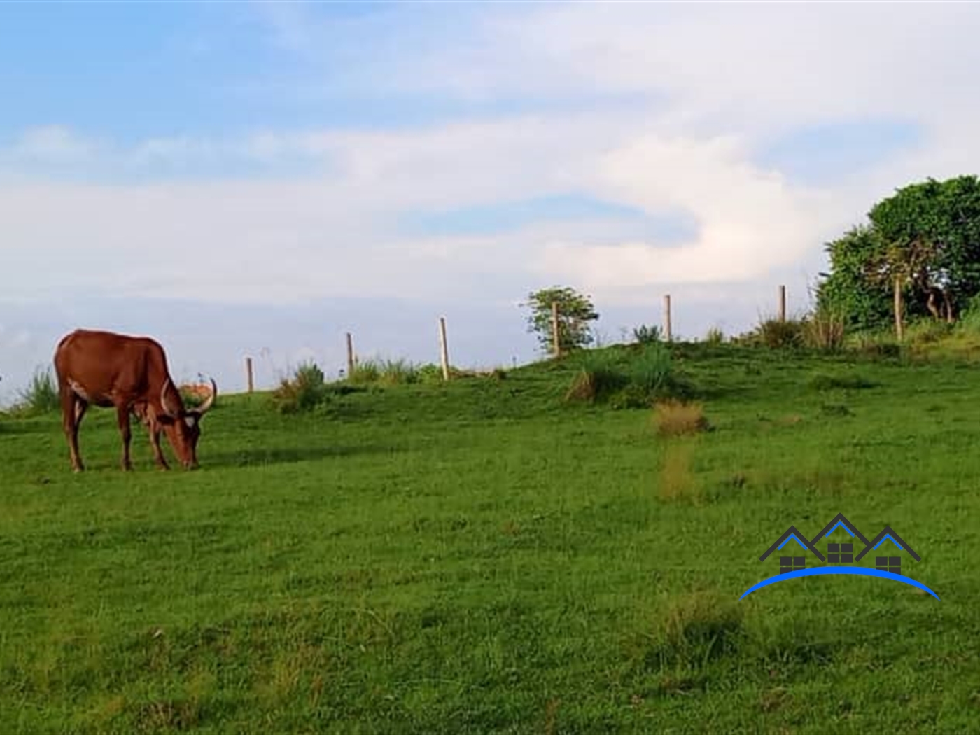 Residential Land for sale in Nakawuka Wakiso