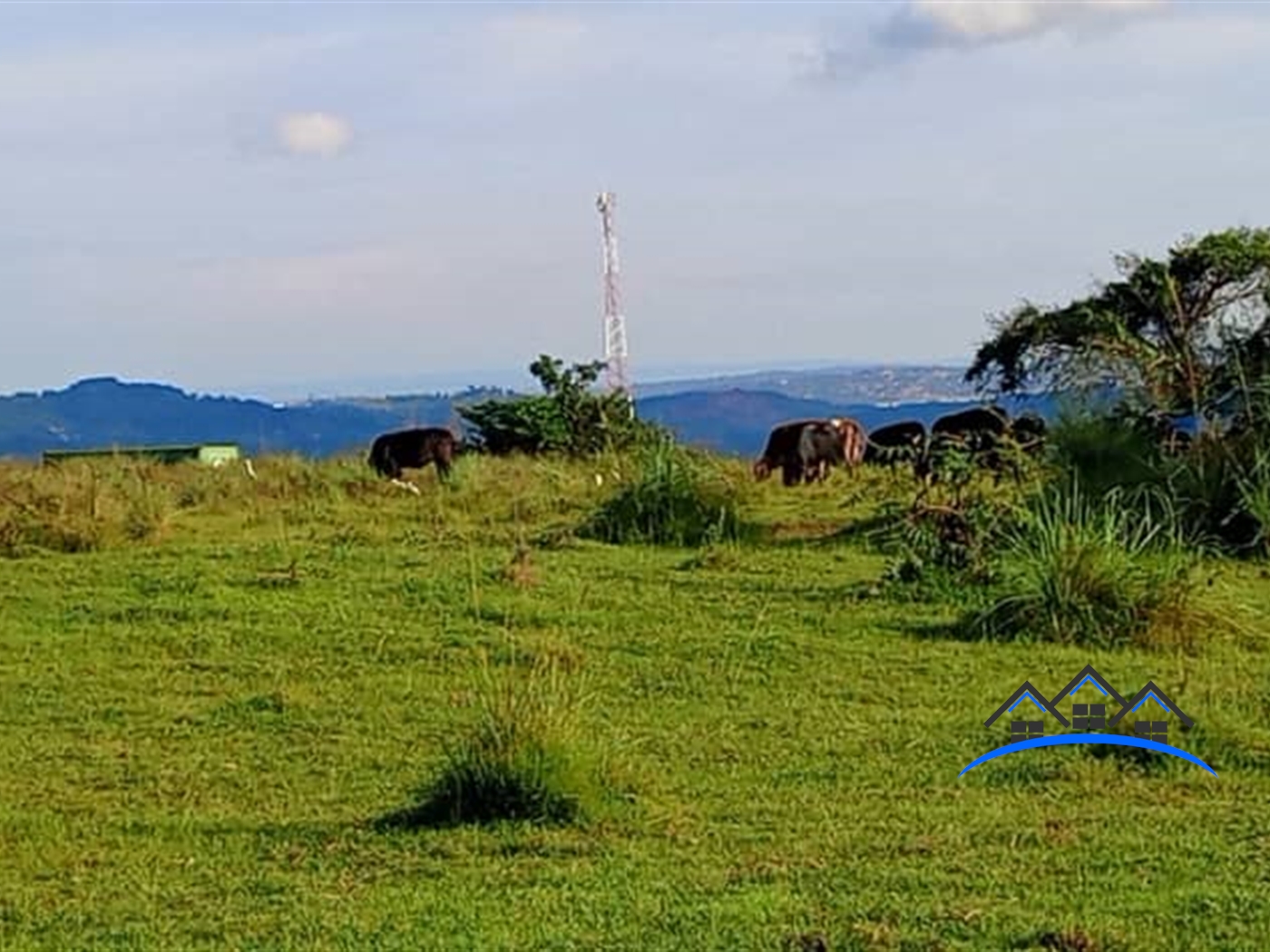 Residential Land for sale in Nakawuka Wakiso