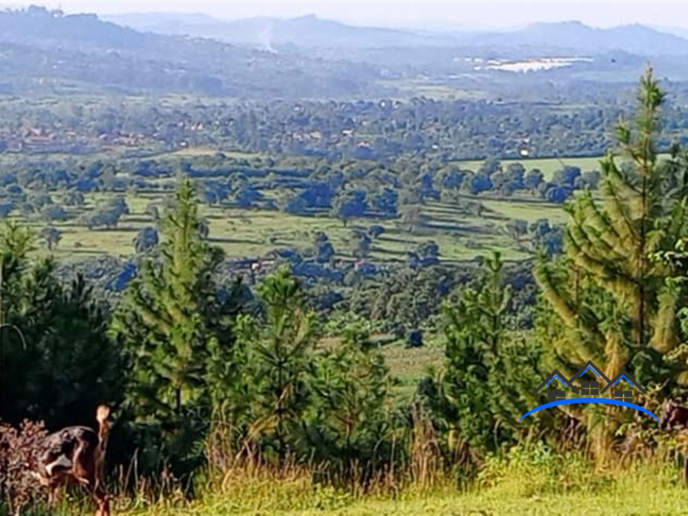 Residential Land for sale in Nakawuka Wakiso