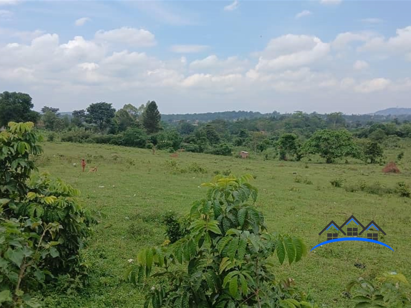 Residential Land for sale in Galilaya Kayunga