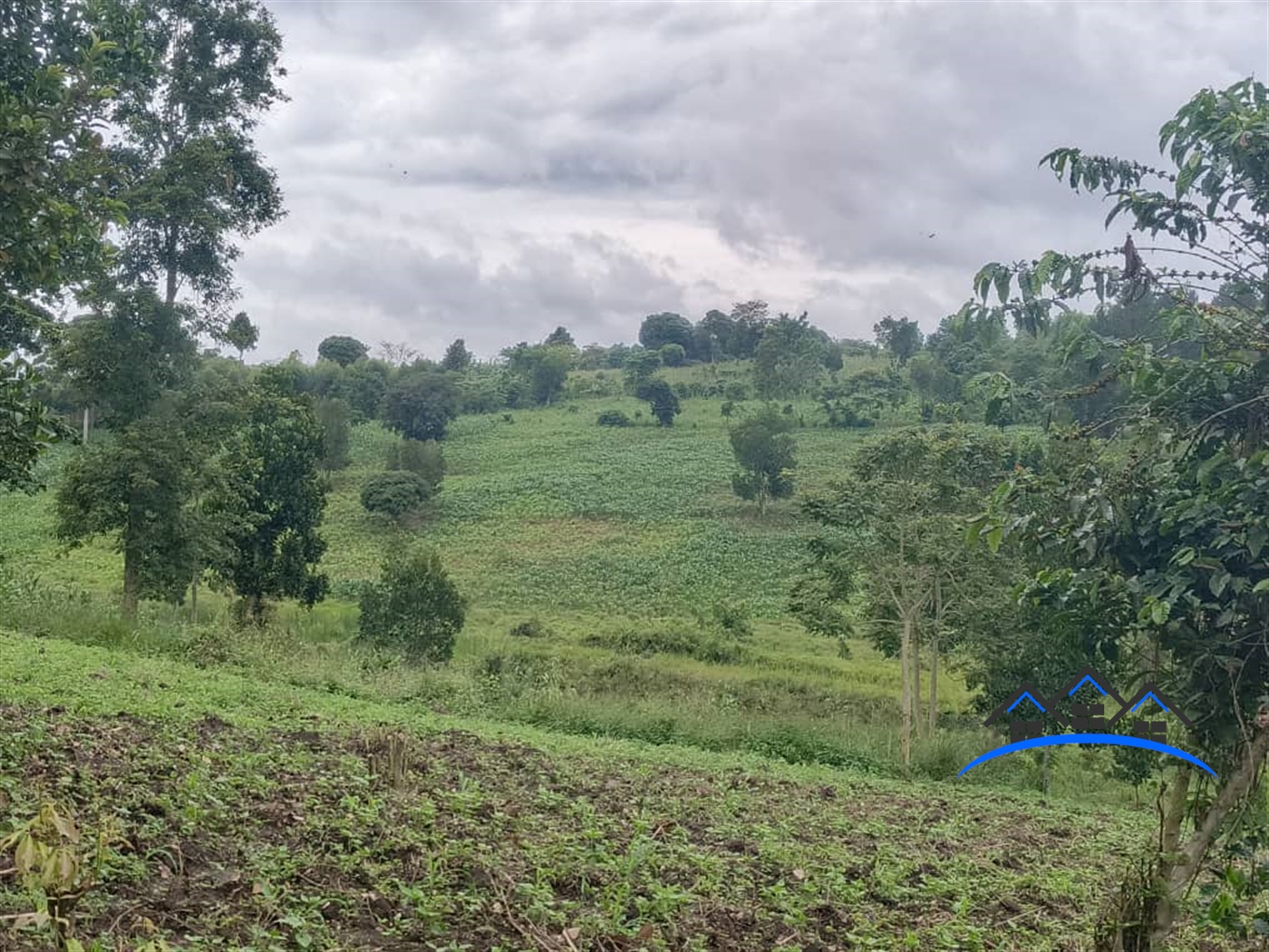 Residential Land for sale in Jjeza Mpigi