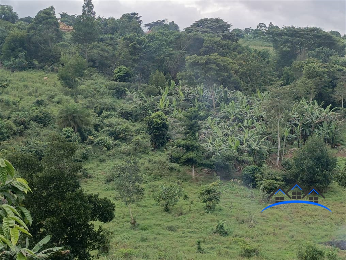 Residential Land for sale in Jjeza Mpigi