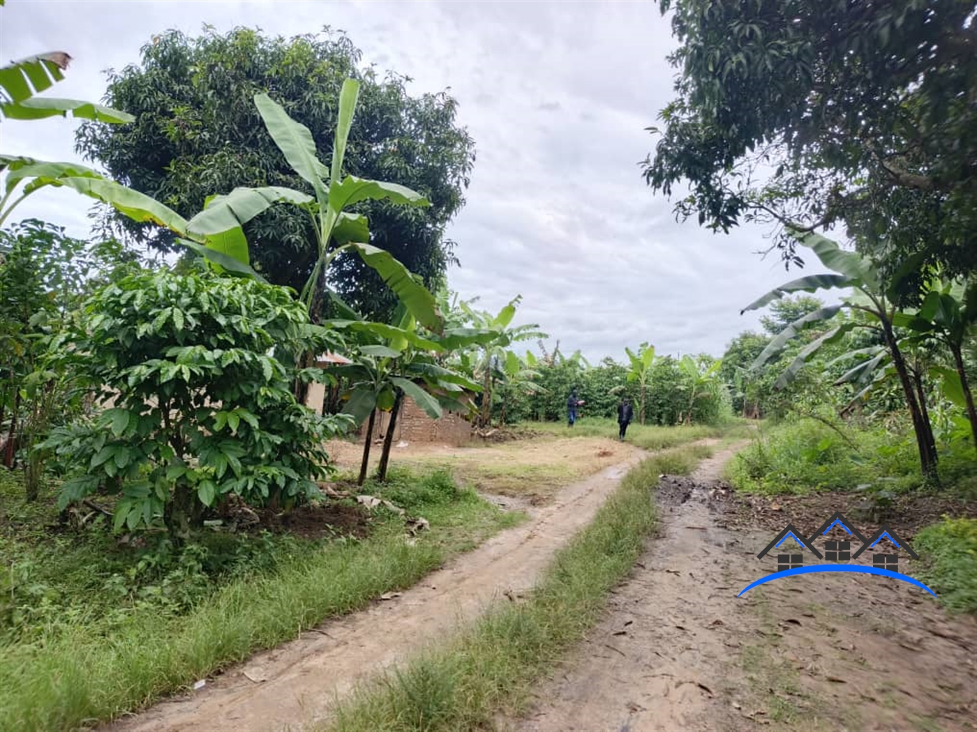 Residential Land for sale in Jjeza Mpigi